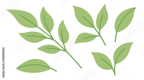 Green tea leaves and sprouts. Sprig of green tea, tea leaf, matcha tea. Flat Vector illustration isolated on white background 
