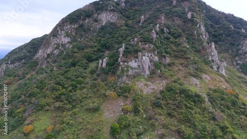 It's winter under Mt. Sanbang on Jeju Island, but it's a view of the village with green rice paddies and fields. Filmed with drones photo