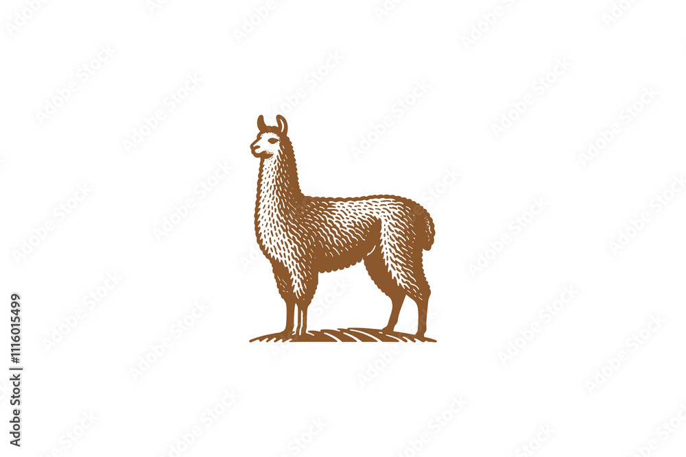 Obraz premium Minimalist vintage-style llama logo, monochrome brown on white