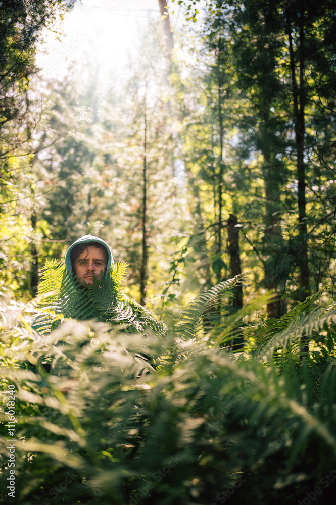 Person Hidden Among Lush Forest Ferns Person Hidden Among Lush Forest Ferns