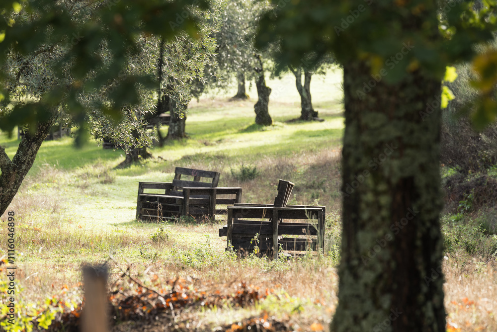 Wooden Benches made from pallets in a lush meadow Fruitorchard Wooden Benches made from pallets in a lush meadow Fruitorchard
