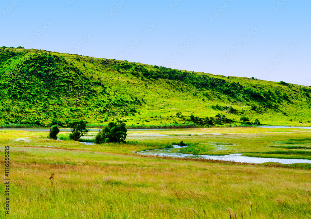 Obraz premium Lush grassland of Wakkerstroom village with a winding river and hills in the background, Mpumalanga, South Africa