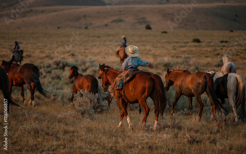 American Quarter Horse ranch in Montana ,Jingling the cavvy/herd at dawn