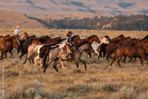 American Quarter Horse ranch in Montana ,Jingling the cavvy/herd at dawn