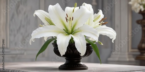 a beautiful white lily flower placed on a decorative pedestal or base , pedestal, class photo