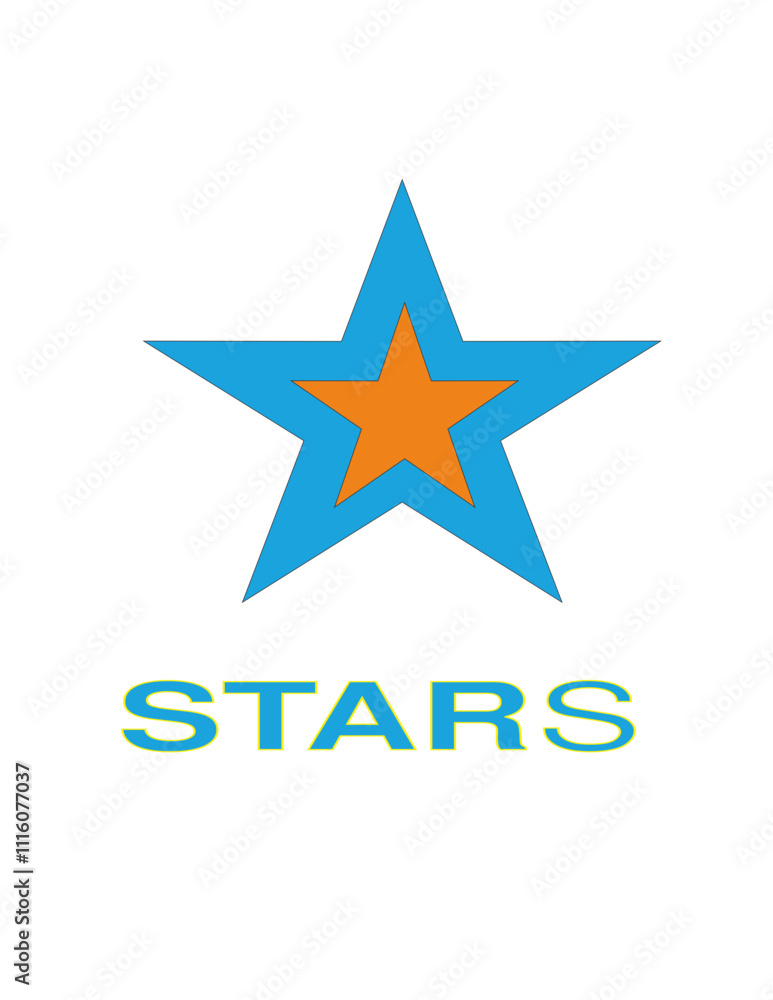 Obraz premium star logo design