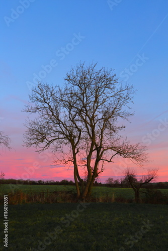 Winter Sunrise UK