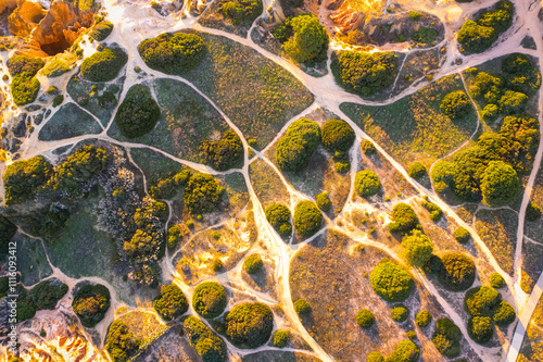 Aerial view of coast vegetation crossed by trails, Algarve, Portugal