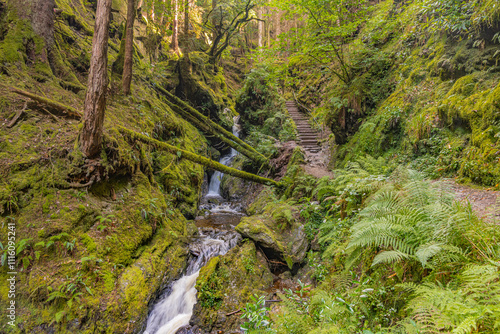 Pucks Glen gorge trail, Dunoon, Cowal peninsula, Argyll and Bute, Scotland