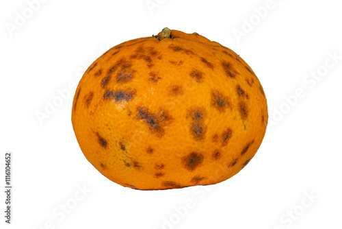 mandorin isolated on white background