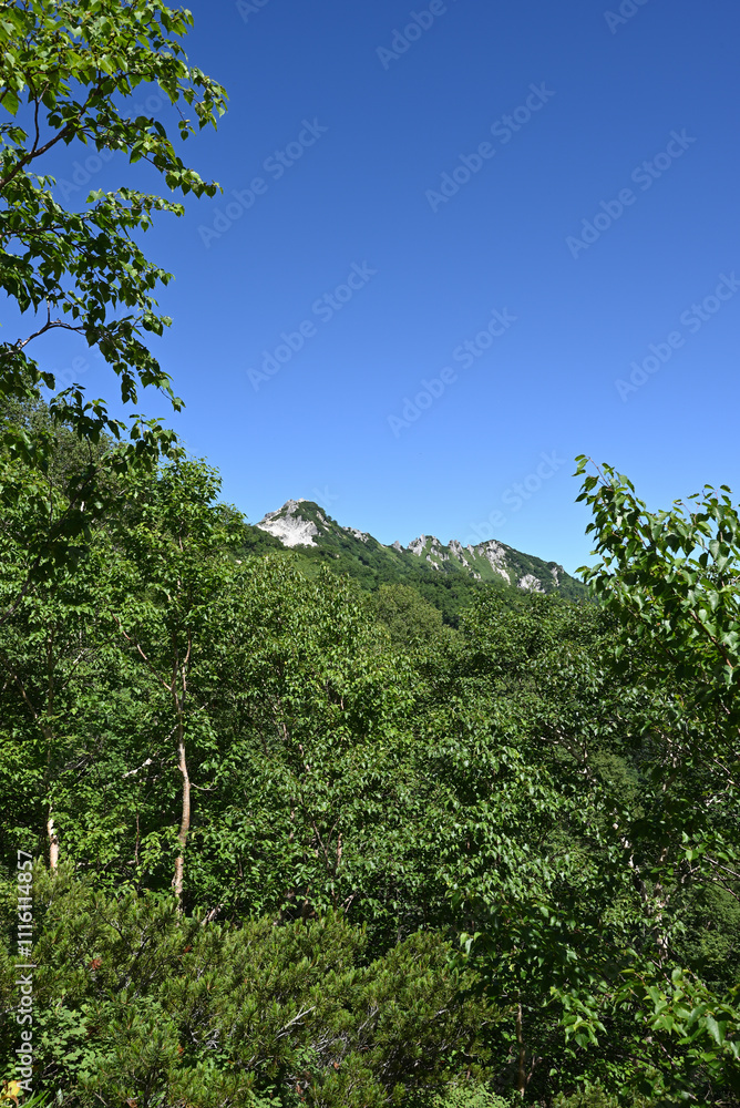Fototapeta premium Climbing Mt. Tsubakuro, Nagano, Japan