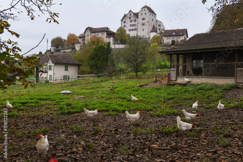 View at the castle of Wildegg in Switzerland photo