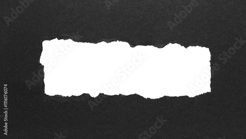 Wallpaper Mural torn paper or cardboard message backdrop with rough edges and blank copy space for text in the middle, png template on transparent background design element Torontodigital.ca