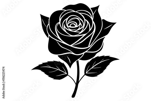Rose vector Lettering design for greeting banners