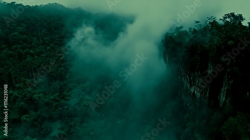 Aerial View of a Dense, Foggy Rainforest Canyon