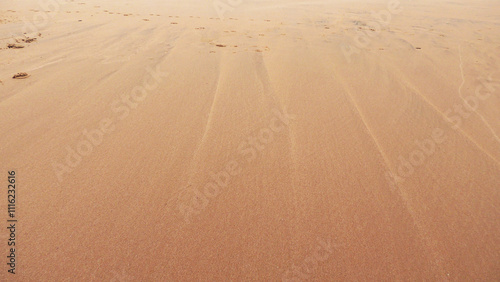 The sand spreads out on the wide beach photo