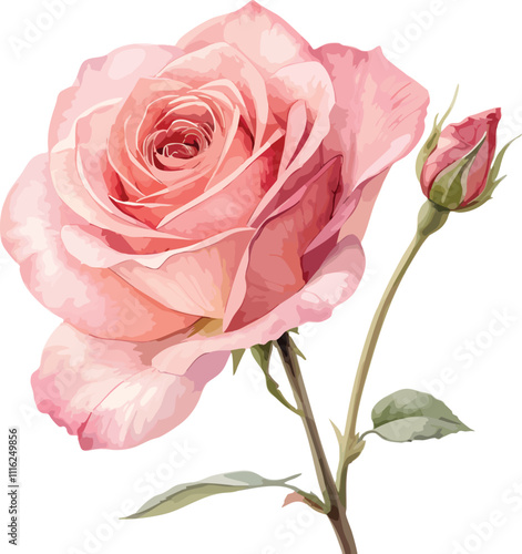A beautiful watercolor illustration of a single rose in shades of pink and red, with a delicate stem and subtle details.