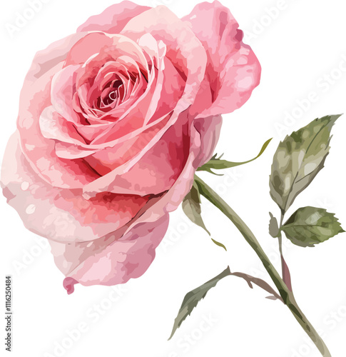 A beautiful watercolor illustration of a single rose in shades of pink and red, with a delicate stem and subtle details.