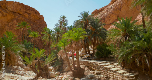 Photography African desert view of a valley with palm trees and beautiful mountains in Tozeur Governorate