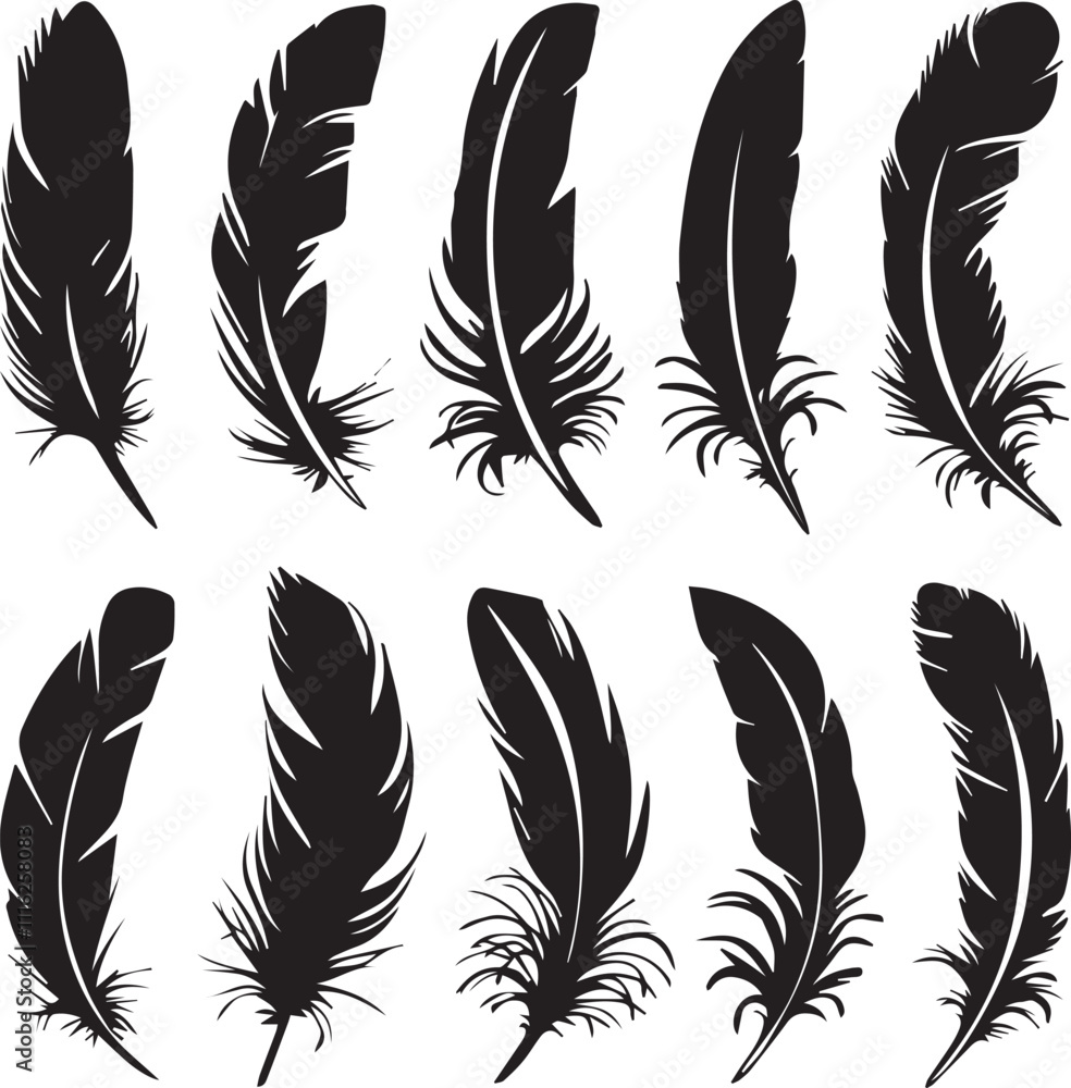 Obraz premium Detailed Feather Silhouettes Collection Vector Design 