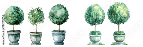 Watercolor topiary in elegant png. Generative AI.