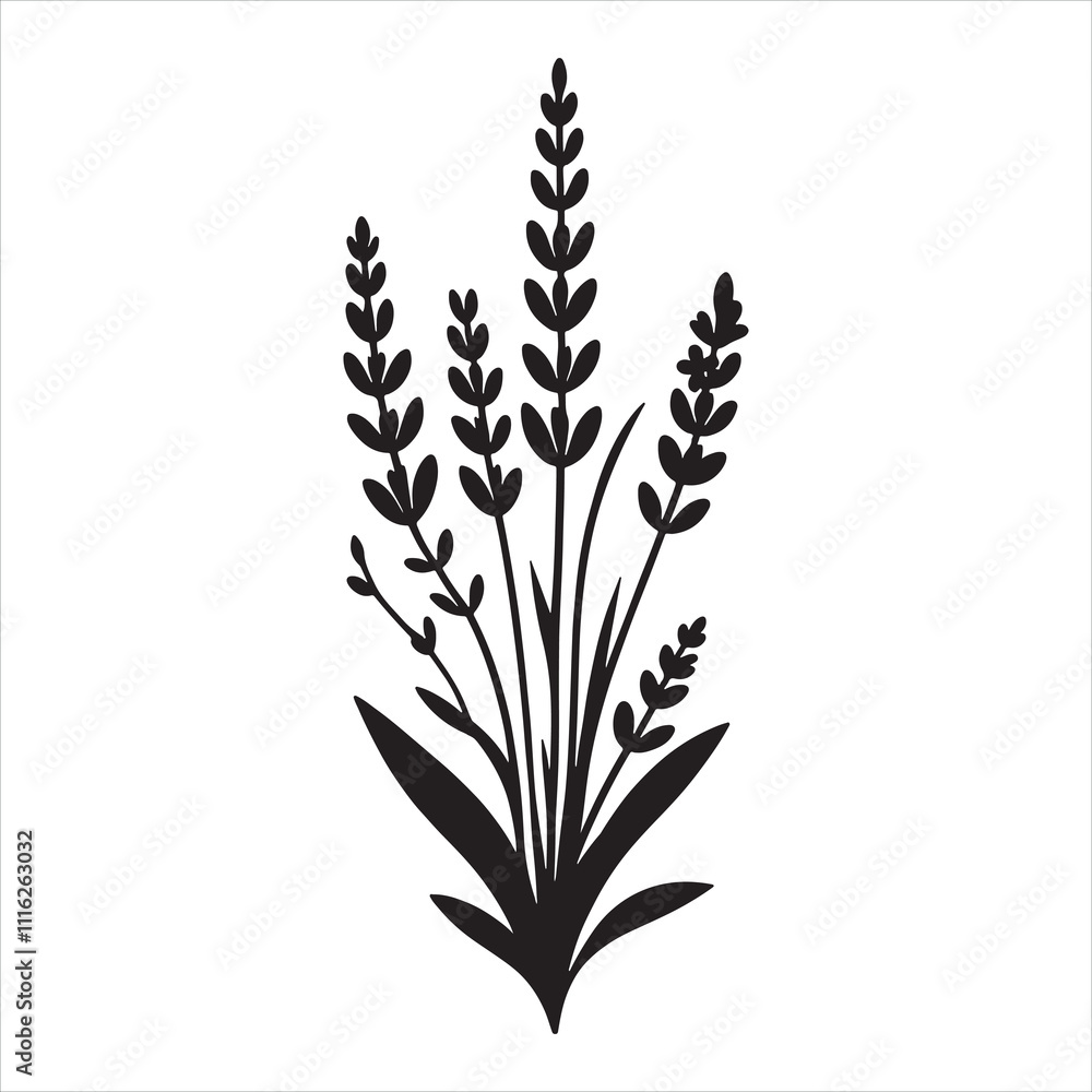 Elegant Lavender silhouette on white background
Elegant Lavender silhouette on white background