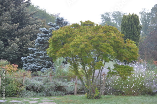 des arbres dans un parc