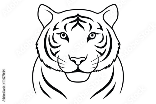 Portraits of predatory wild cat royal bengla tiger vector illustration