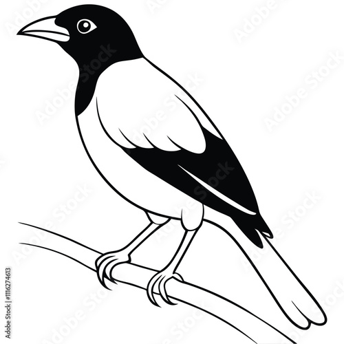 Elegant Myna Bird Sitting on Branch Vector Illustration