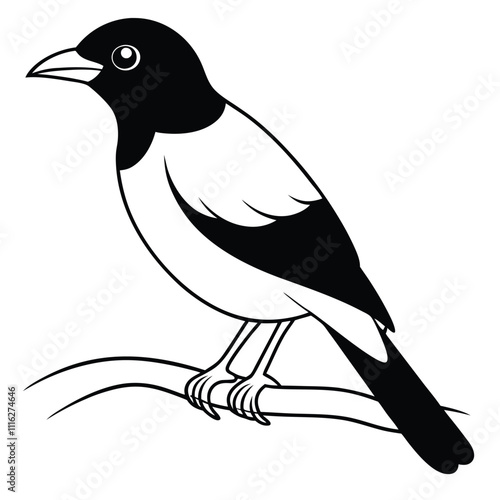 Myna Bird on Tree Branch Vector Illustration Design