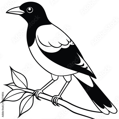 Beautiful Myna Bird on Tree Branch Vector Illustration
