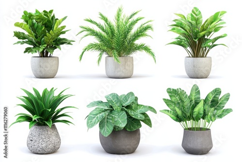 Set of House plant with Tob isolated in white background photo