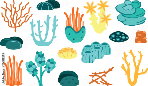 Coral reef set. Aquatic plant, algae, tropical seabed elements vector hand drawn set.