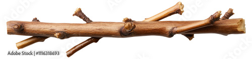 PNG A wooden stick with small branches attached