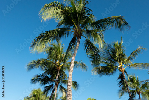 Wallpaper Mural Scenes at the coast of oahu hawaii on a sunny day Torontodigital.ca