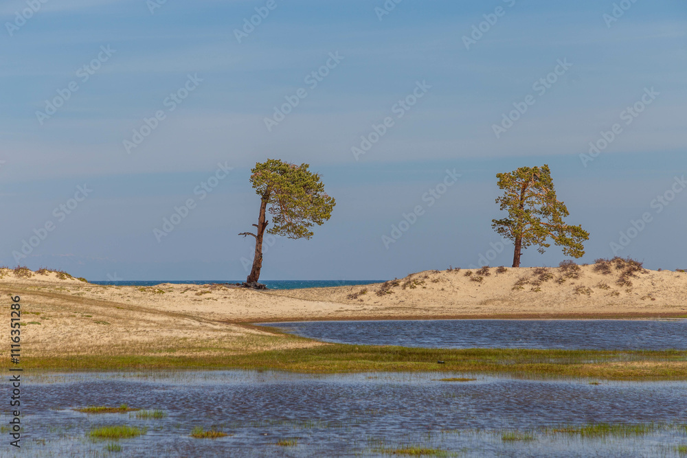 Obraz premium Sarai beach near Shamanka rock. Khuzhir village, Olkhon island, Irkutsk region, Russia.