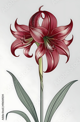 Cool simple Amaryllis flower vector art, featuring minimalist lines and vibrant colors. C