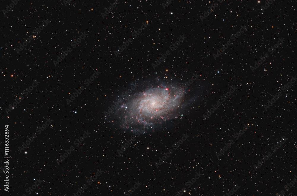 Obraz premium Triangulum Galaxy M33