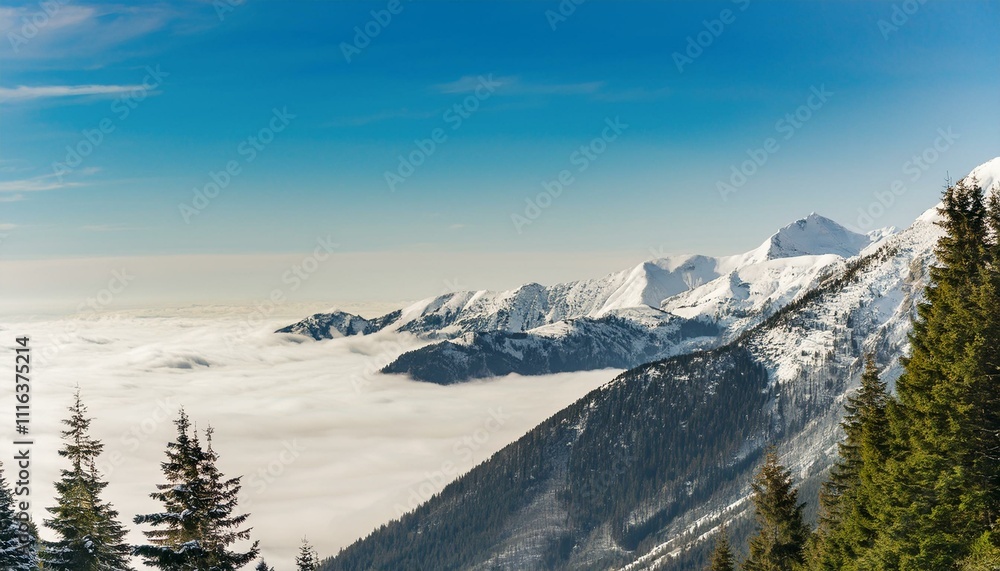 Obraz premium 산꼭대기 풍경 눈으로 덮인 산봉우리와 그 아래로 펼쳐진 운해