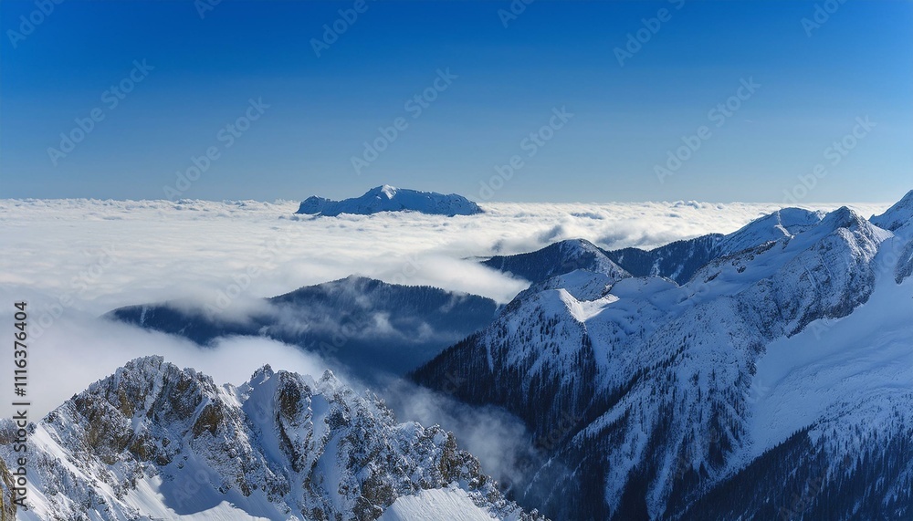 Obraz premium 산꼭대기 풍경 눈으로 덮인 산봉우리와 그 아래로 펼쳐진 운해