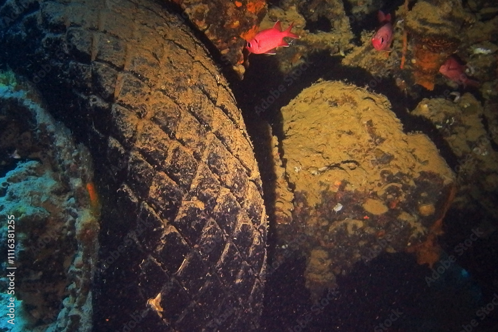 Old motorbikes inside Thistlegorm shipwreck in the Red Sea, Egypt