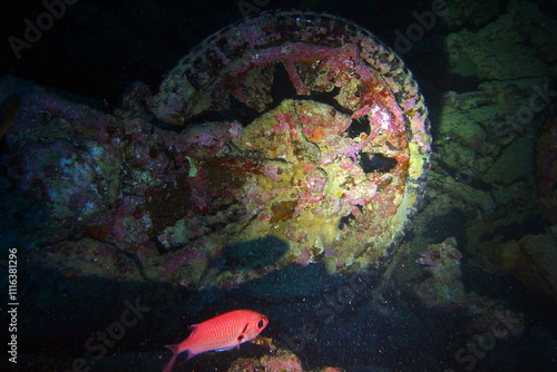 Obraz na płótnie Old motorbikes inside Thistlegorm shipwreck in the Red Sea, Egypt w salonie