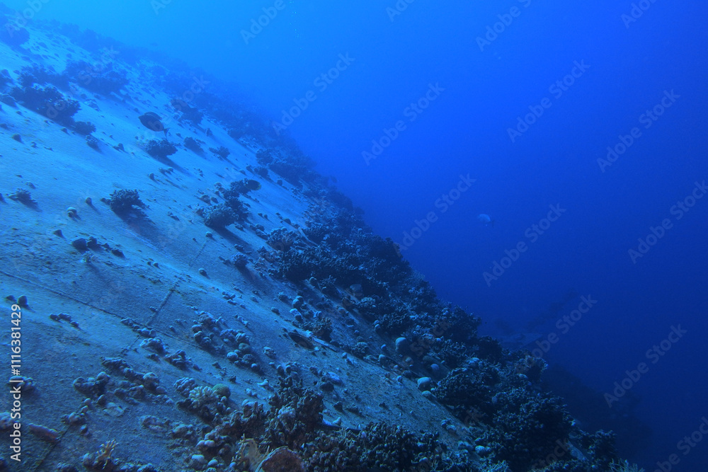 Shipwreck in the Red Sea near Safaga, Egypt