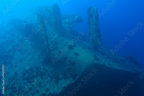 Obraz na płótnie Shipwreck in the Red Sea near Safaga, Egypt w salonie