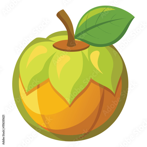 balsam apple on white background