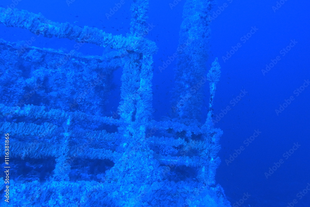 Numidia shipwreck in the Red Sea near Big Brother island, Egypt
