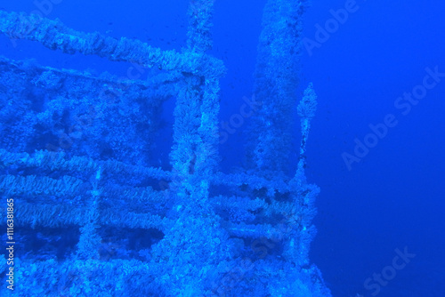 Obraz na płótnie Numidia shipwreck in the Red Sea near Big Brother island, Egypt w salonie
