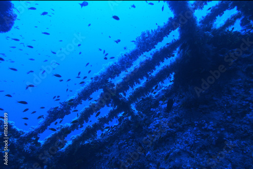 Obraz na płótnie Numidia shipwreck in the Red Sea near Big Brother island, Egypt w salonie