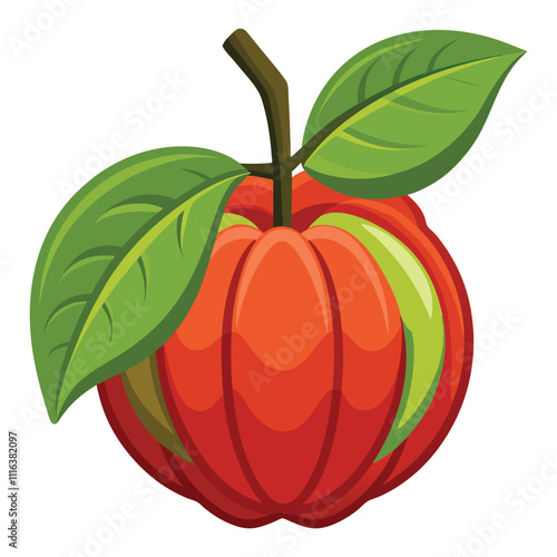 balsam apple on white background