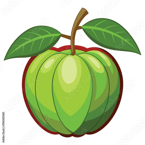 balsam apple on white background